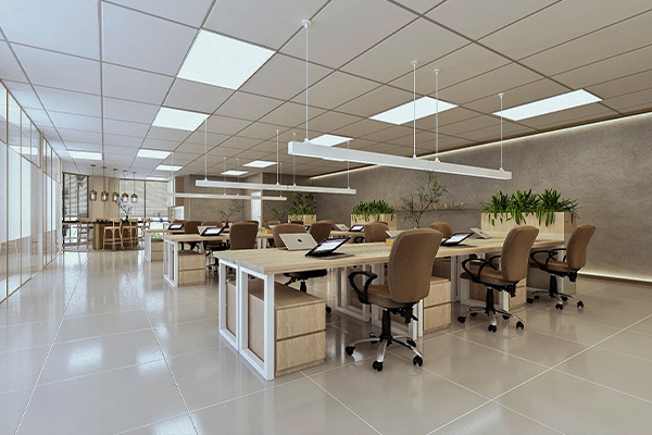 elevate-x-office-room-interior-design